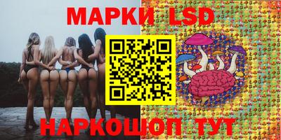 спиды Гай