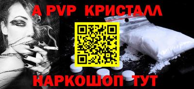 спиды Гай