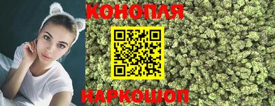 спиды Гай