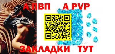 спиды Гай